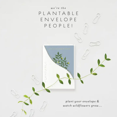 Plantable Card - Stinker Sprout - Birthday Mini Greeting Card 2.5