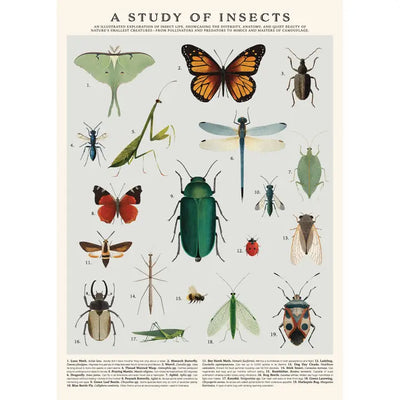 Vintage Posters Wrapping Paper - Insects