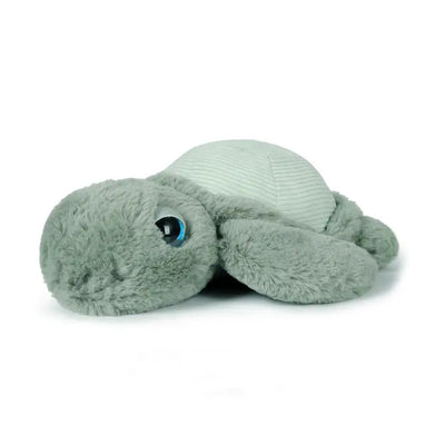 Little Tyler Turtle 7.8