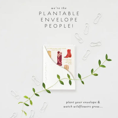 Plantable Card - Not 1st Rodeo Sprout - Birthday Mini Greet 2.5 X 3.5