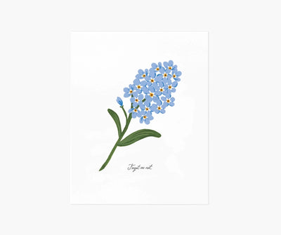 FORGET-ME-NOT ART PRINT - 8X10