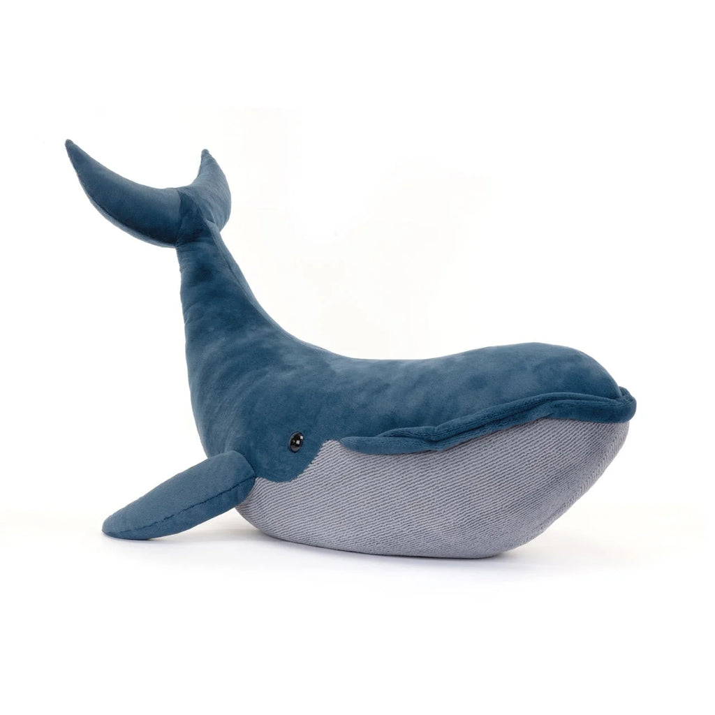 Gilbert the Great Blue Whale