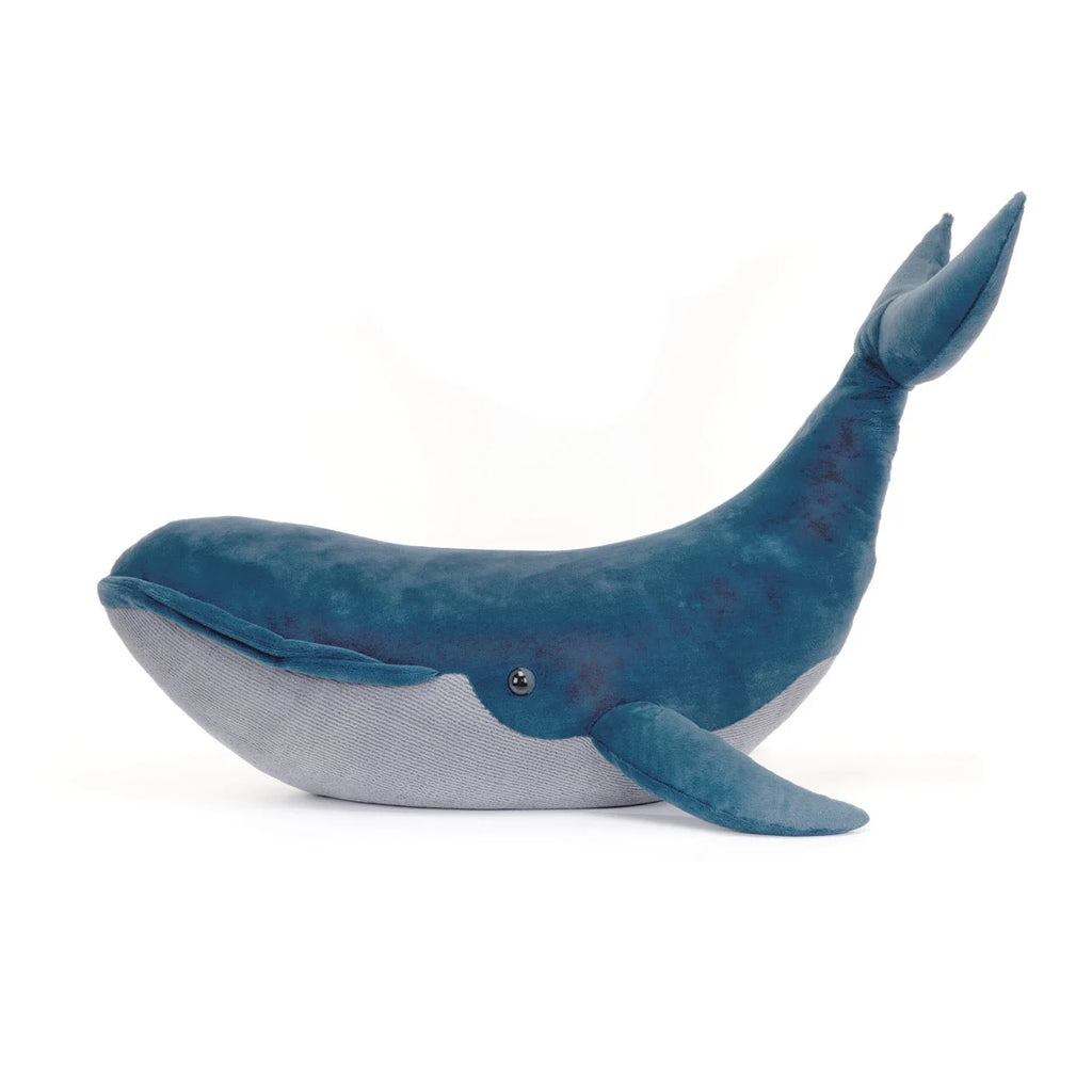 Gilbert the Great Blue Whale