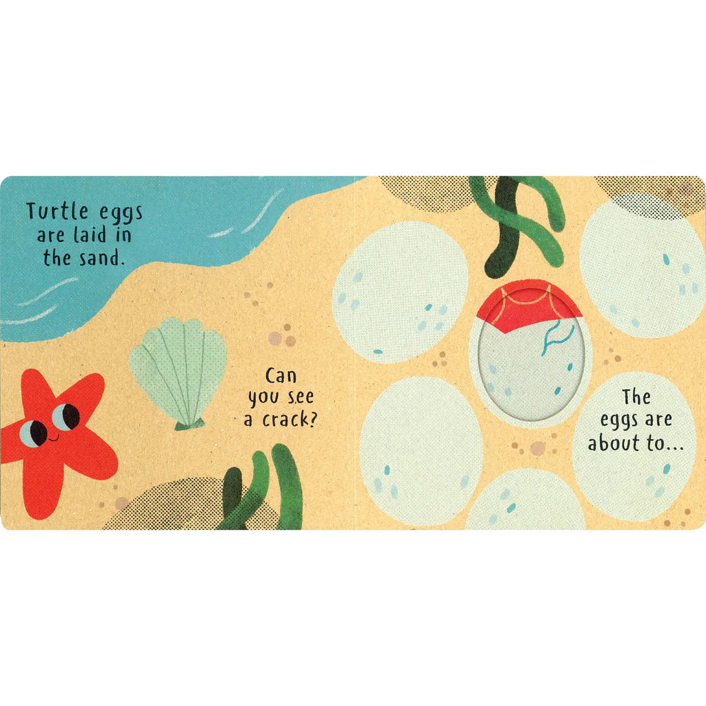 Little Nature: Hatch