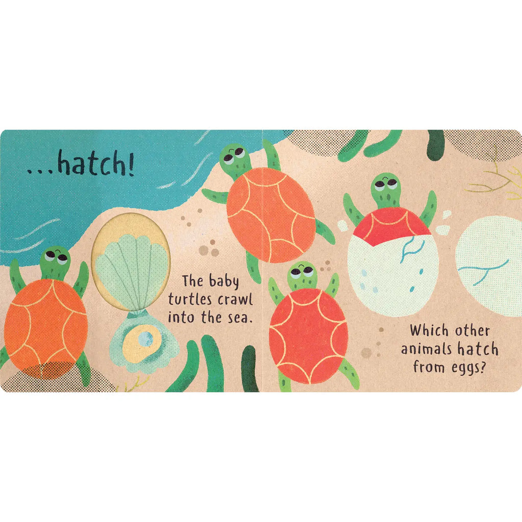 Little Nature: Hatch
