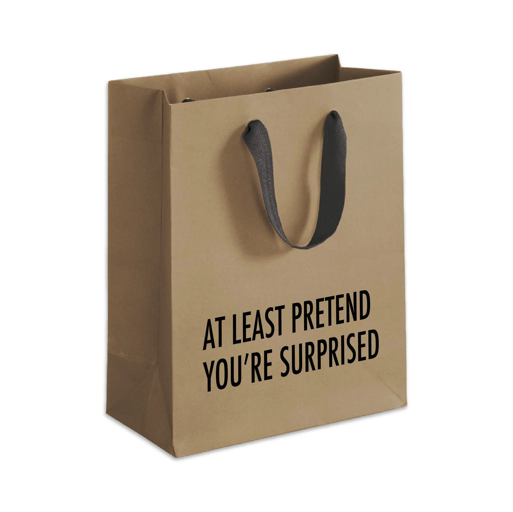 PRETEND SURPRISE GIFT BAG
