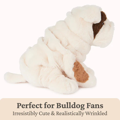 Toast, Bulldog