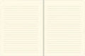 We the People Journal
