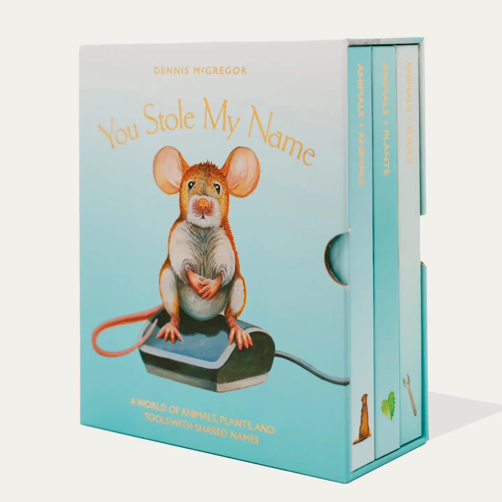 You Stole My Name Board Book Box Set