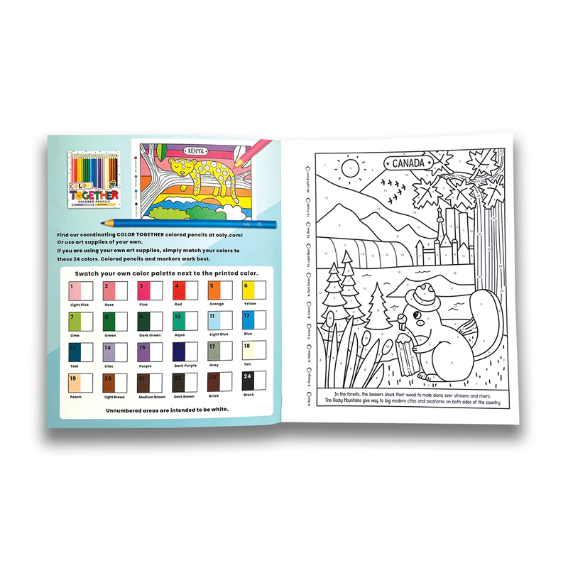 COLOR BY NUMBERS BOOK - WONDERFUL WORLD