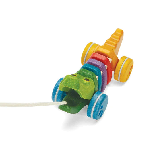 RAINBOW ALLIGATOR