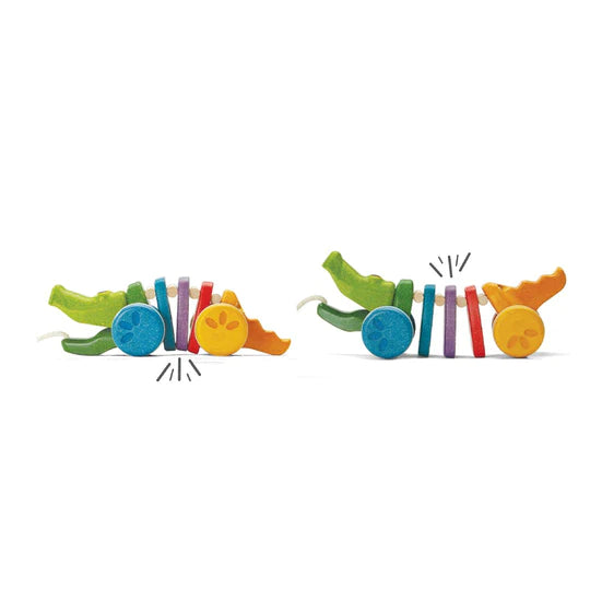 RAINBOW ALLIGATOR