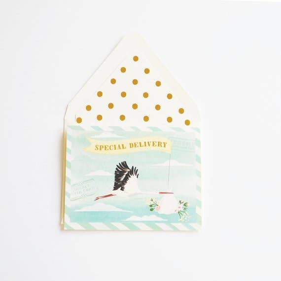 SPECIAL DELIVERY STORK CARD