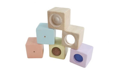 SENSORY BLOCKS