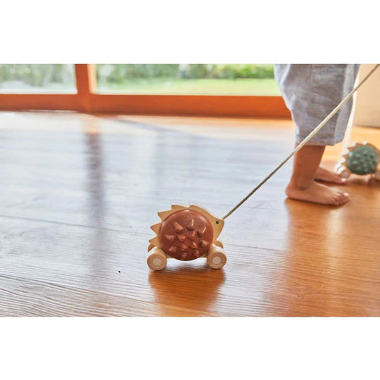 PULL ALONG HEDGEHOG - BROWN