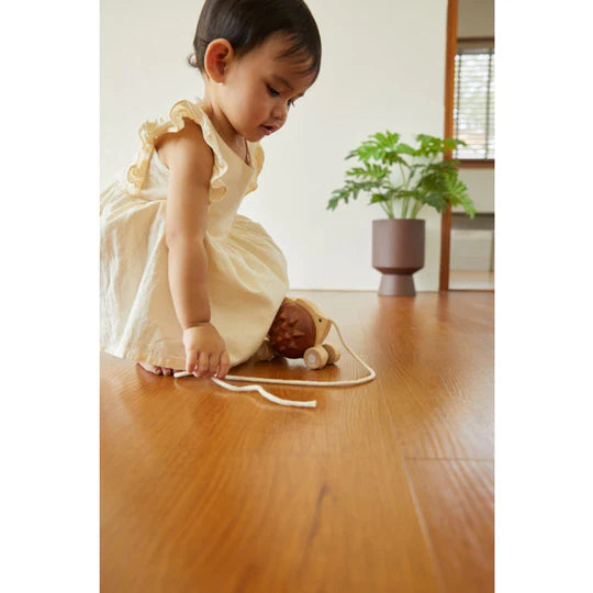 PULL ALONG HEDGEHOG - BROWN