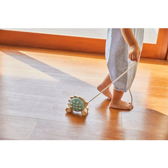PULL ALONG HEDGEHOG - BLUE