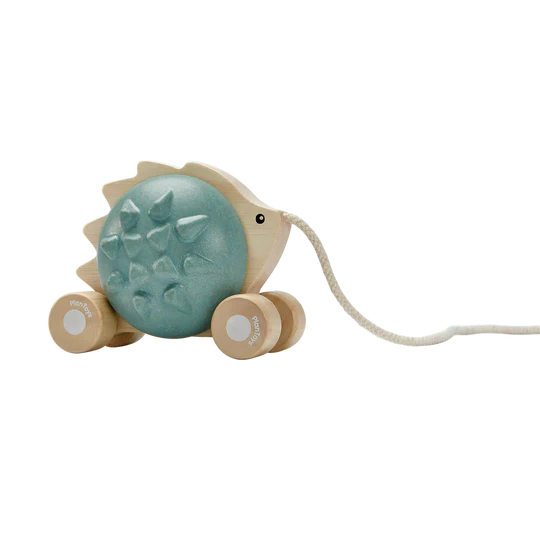 PULL ALONG HEDGEHOG - BLUE