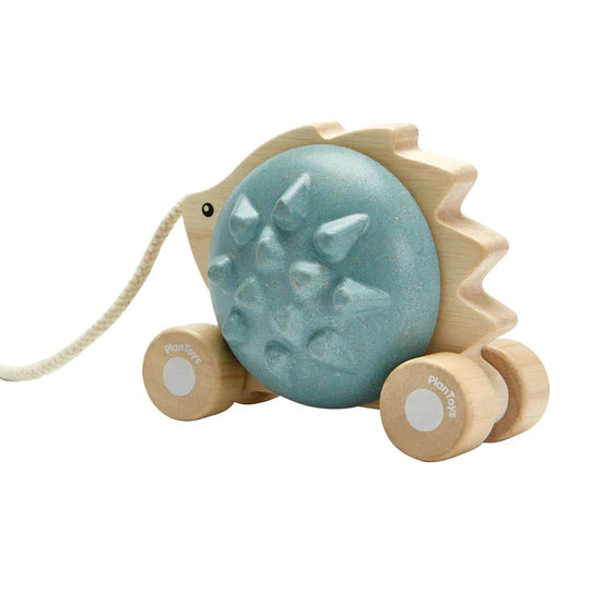 PULL ALONG HEDGEHOG - BLUE