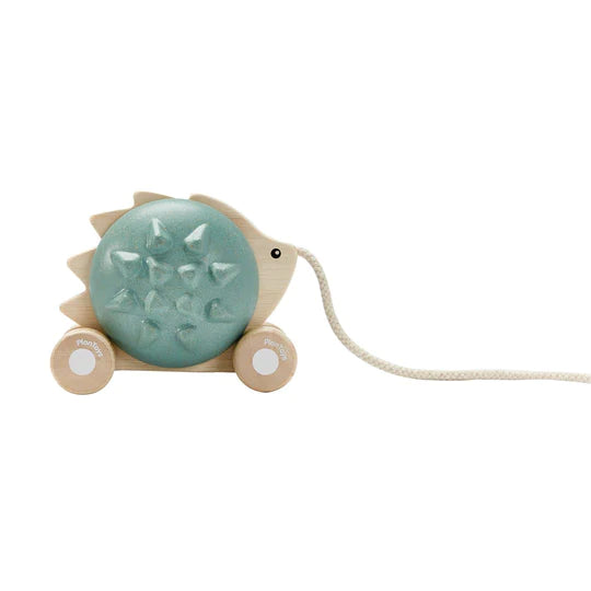 PULL ALONG HEDGEHOG - BLUE