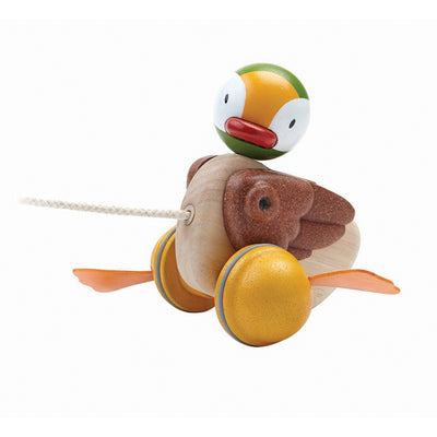 PULL-ALONG DUCK