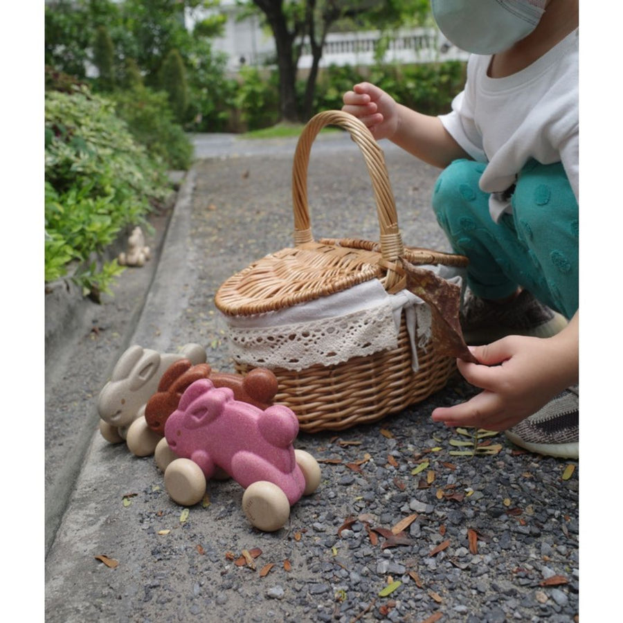 PUSH ALONG BUNNY - BROWN