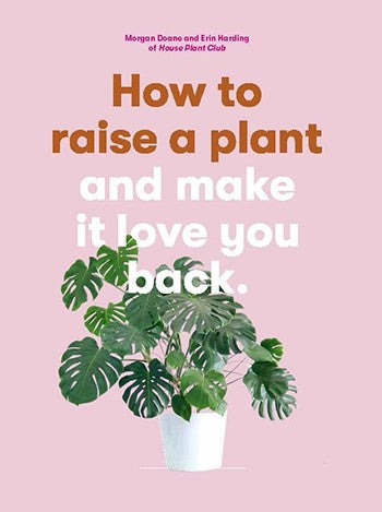 HOW TO RAISE A PLANT