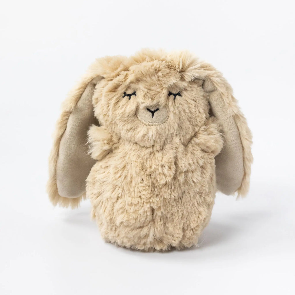 TAN BUNNY MINI & BIGFOOT INTRO BOOK - SELF ESTEEM