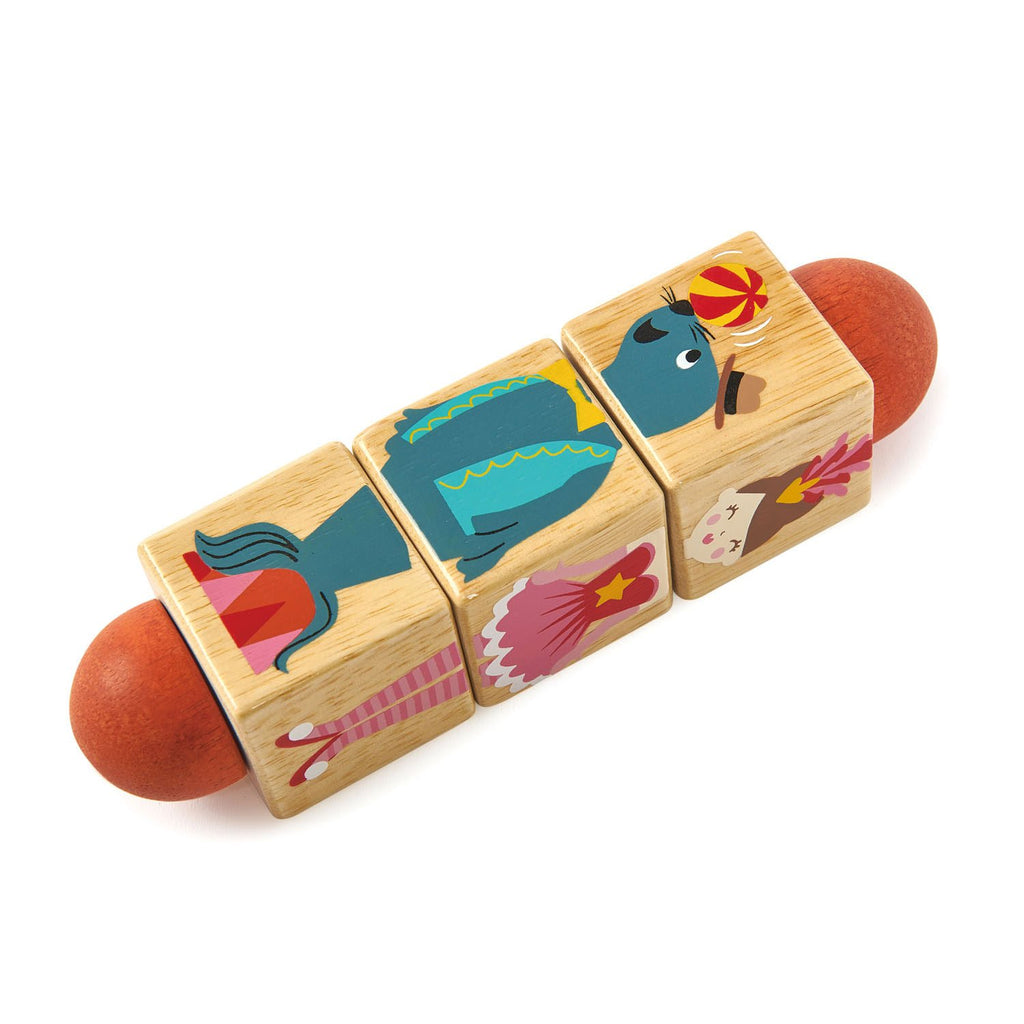 CIRCUS TWISTER