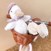 COLETTE THE DUCK