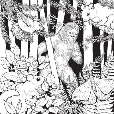 COLOR THE PACIFIC NORTHWEST