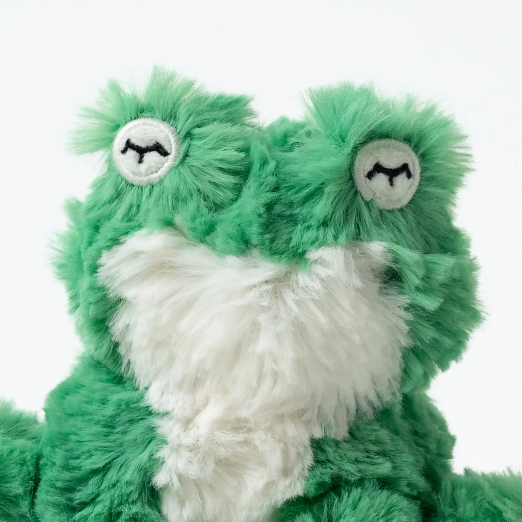GREEN FROG MINI & IBEX INTRO BOOK - EMOTIONAL COURAGE