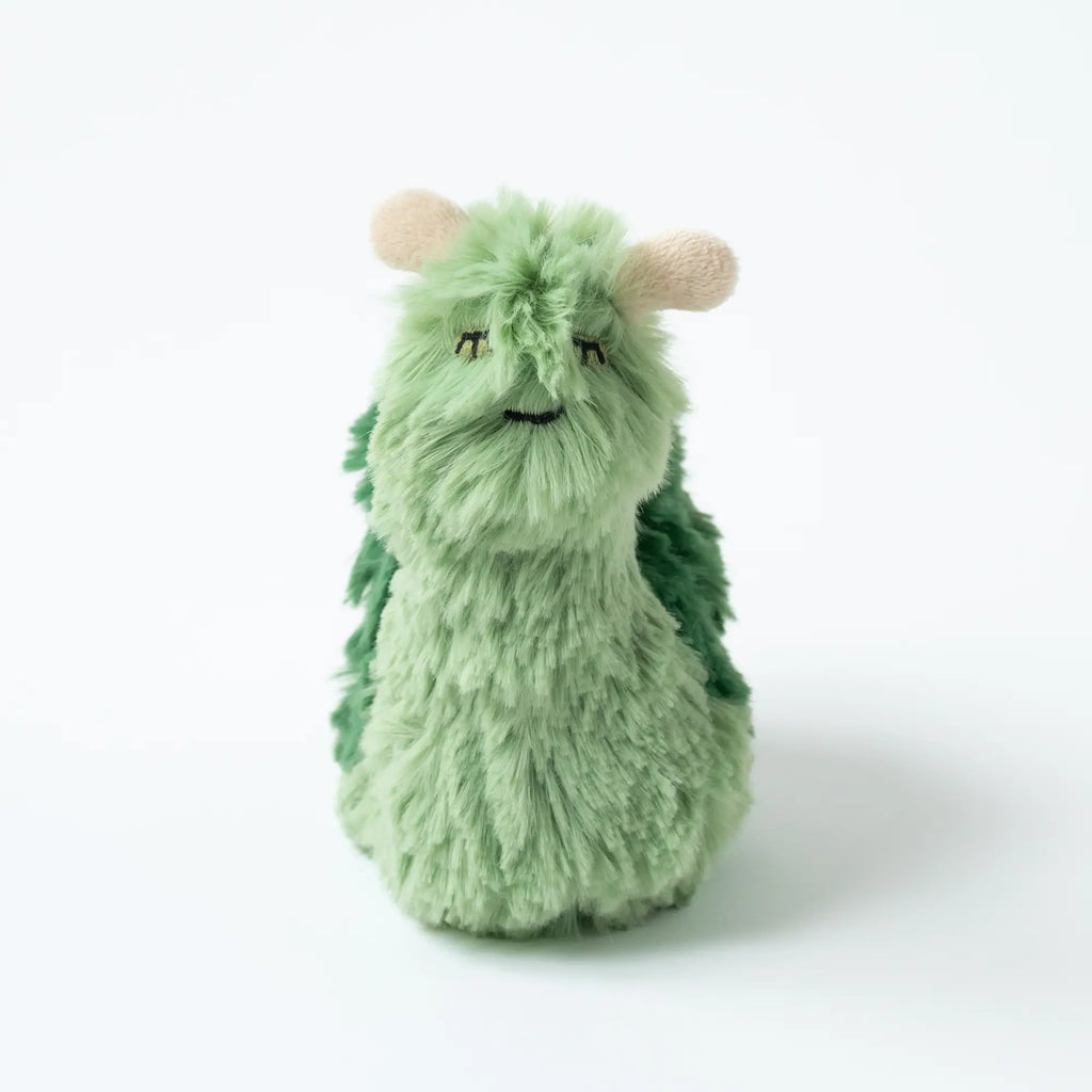 GREEN SNAIL MINI & FOX INTRO BOOK - CHANGE