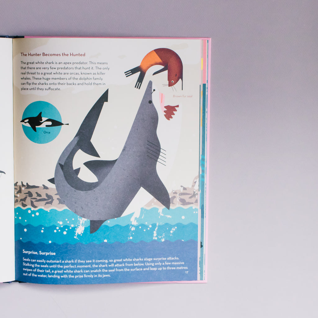 SMART ABOUT SHARKS!