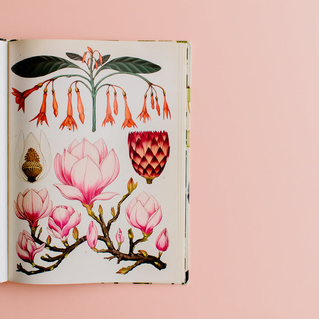 BOTANICUM