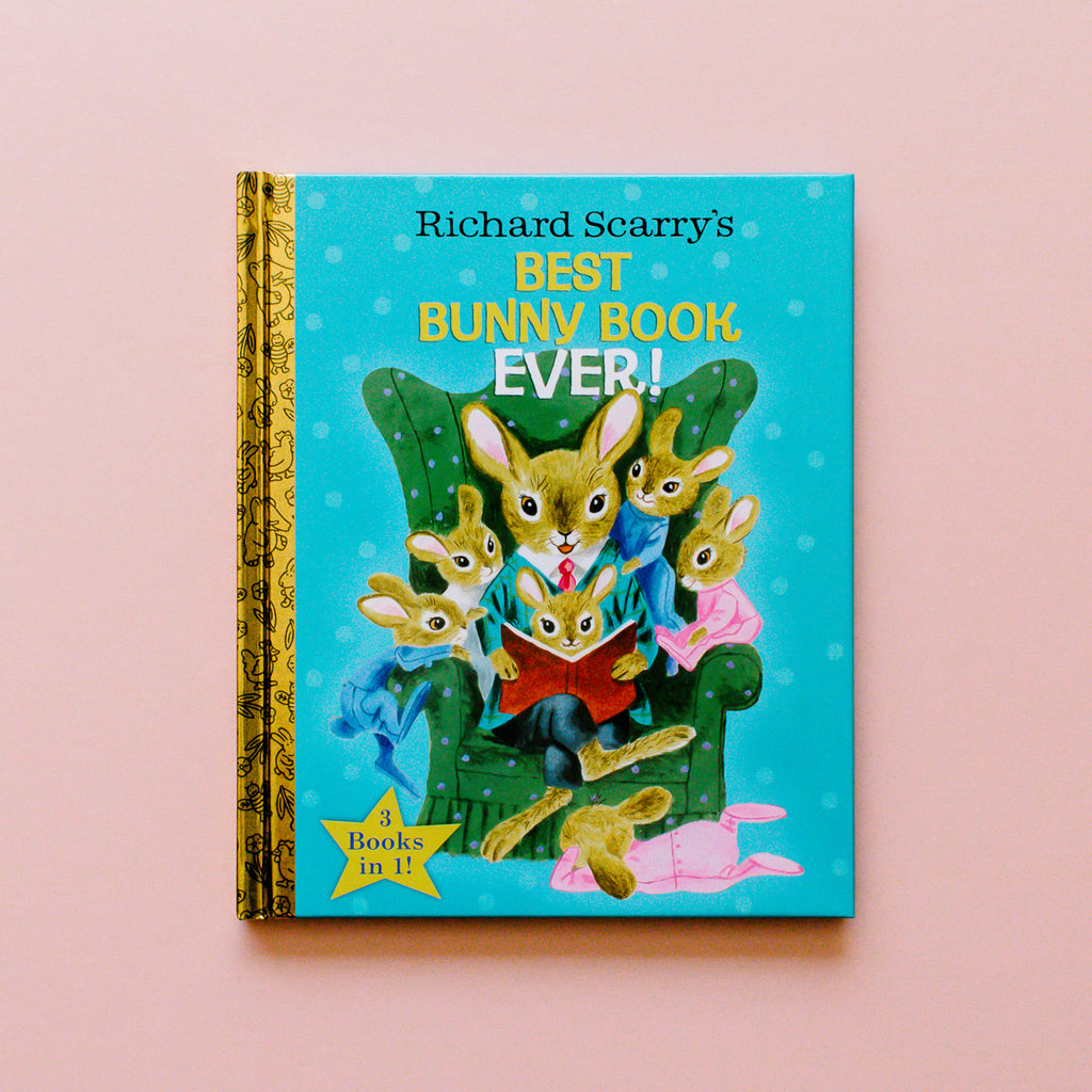BEST BUNNY BOOK EVER!