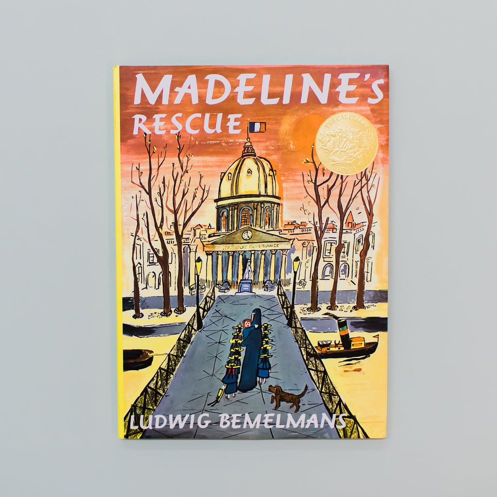 MADELINE'S RESCUE