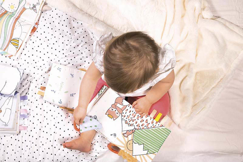 ACTIVITY BOOK - THE ANGRY FOX