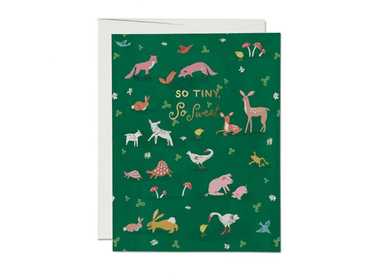 TINY ANIMALS CARD