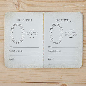 THE TOOTH FAIRY KIT