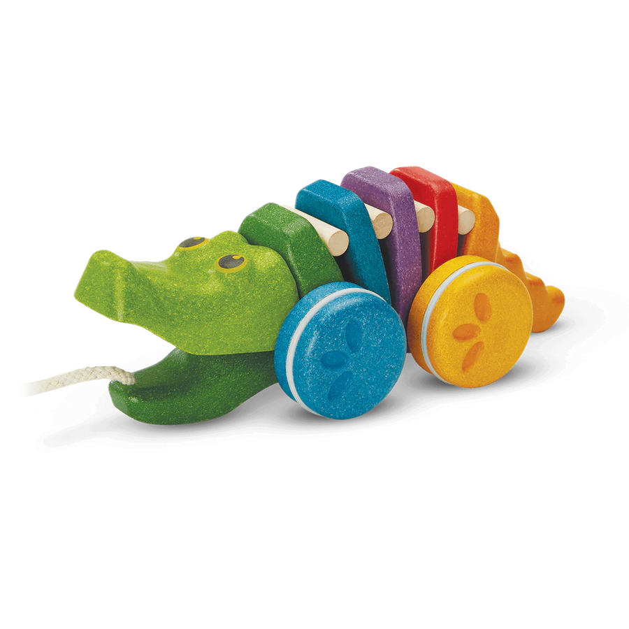 RAINBOW ALLIGATOR