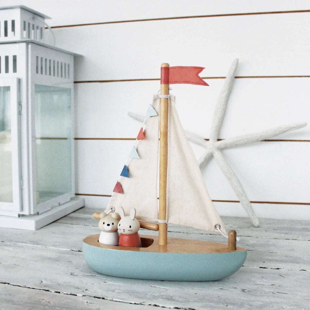 SAILWAY BOAT