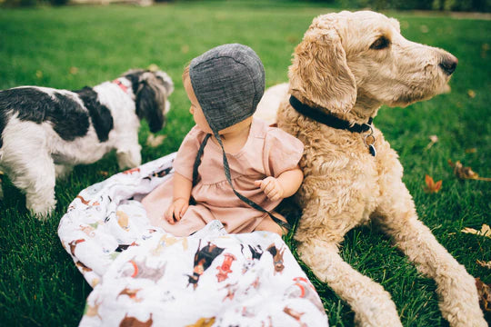 Cotton Muslin Swaddle Blanket - Woof