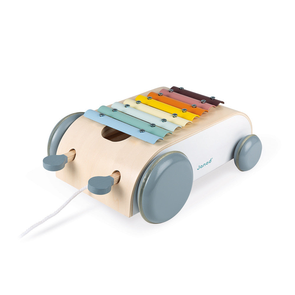 XYLO ROLLER