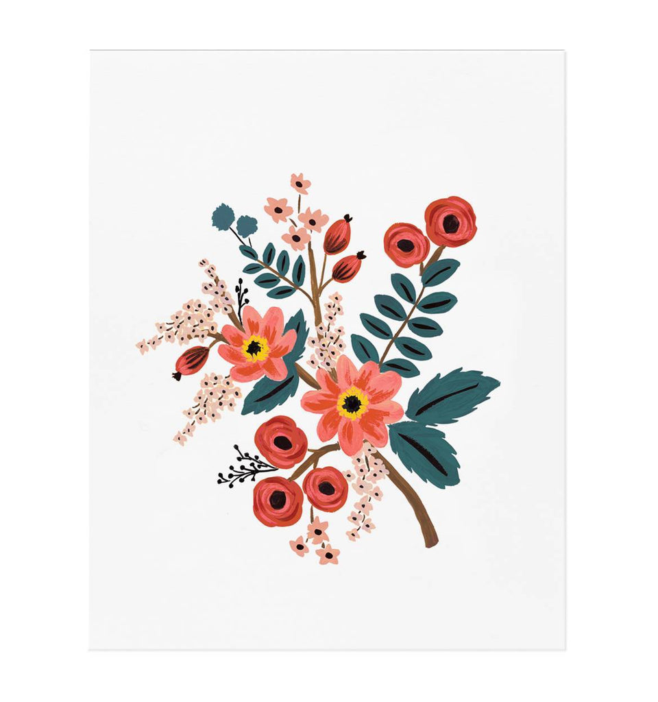 CORAL BOTANICAL ART PRINT