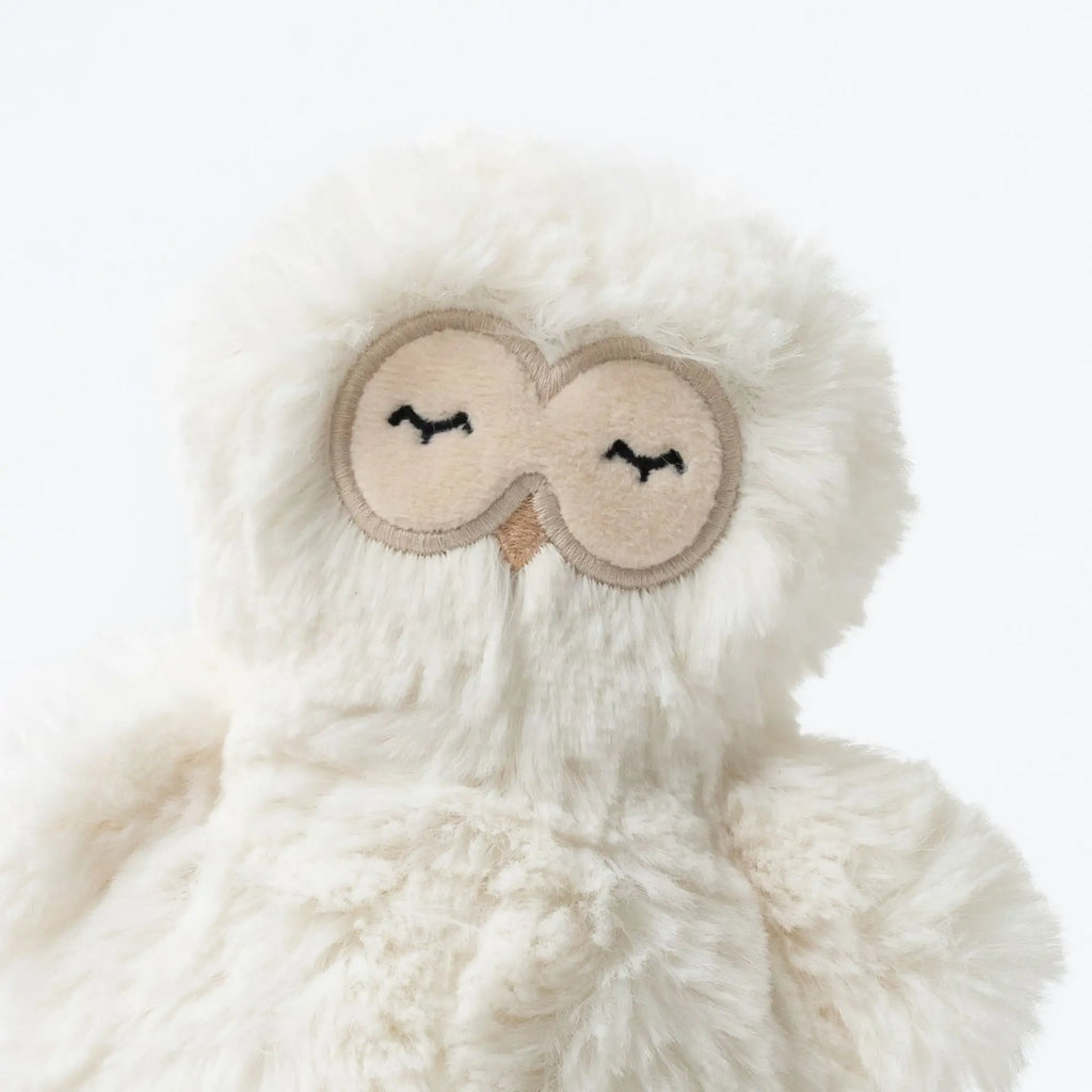 OWL MINI & BIGFOOT LESSON BOOK - SELF ESTEEM