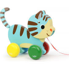 MARCEL THE CAT
