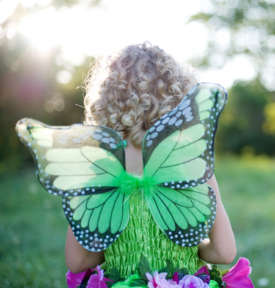 FAIRY BLOOMS DELUXE DRESS WITH WINGS