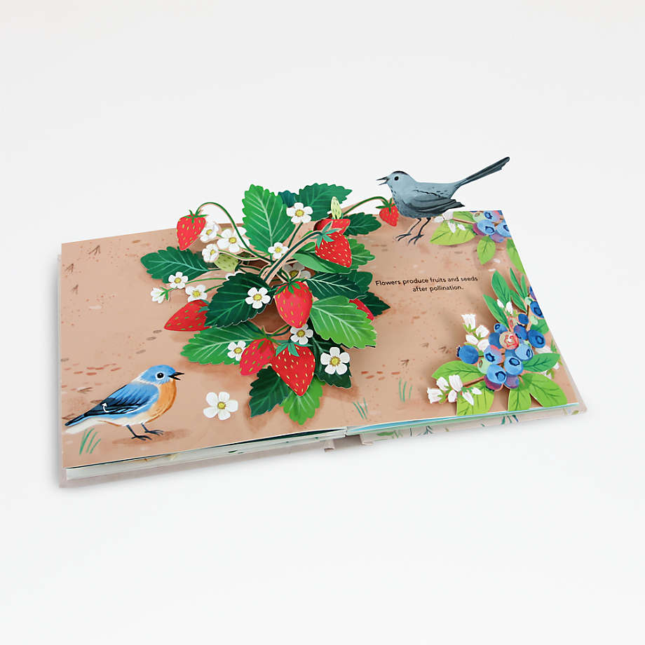 FLORA-A BOTANICAL POP UP BOOK