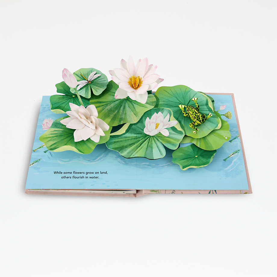 FLORA-A BOTANICAL POP UP BOOK